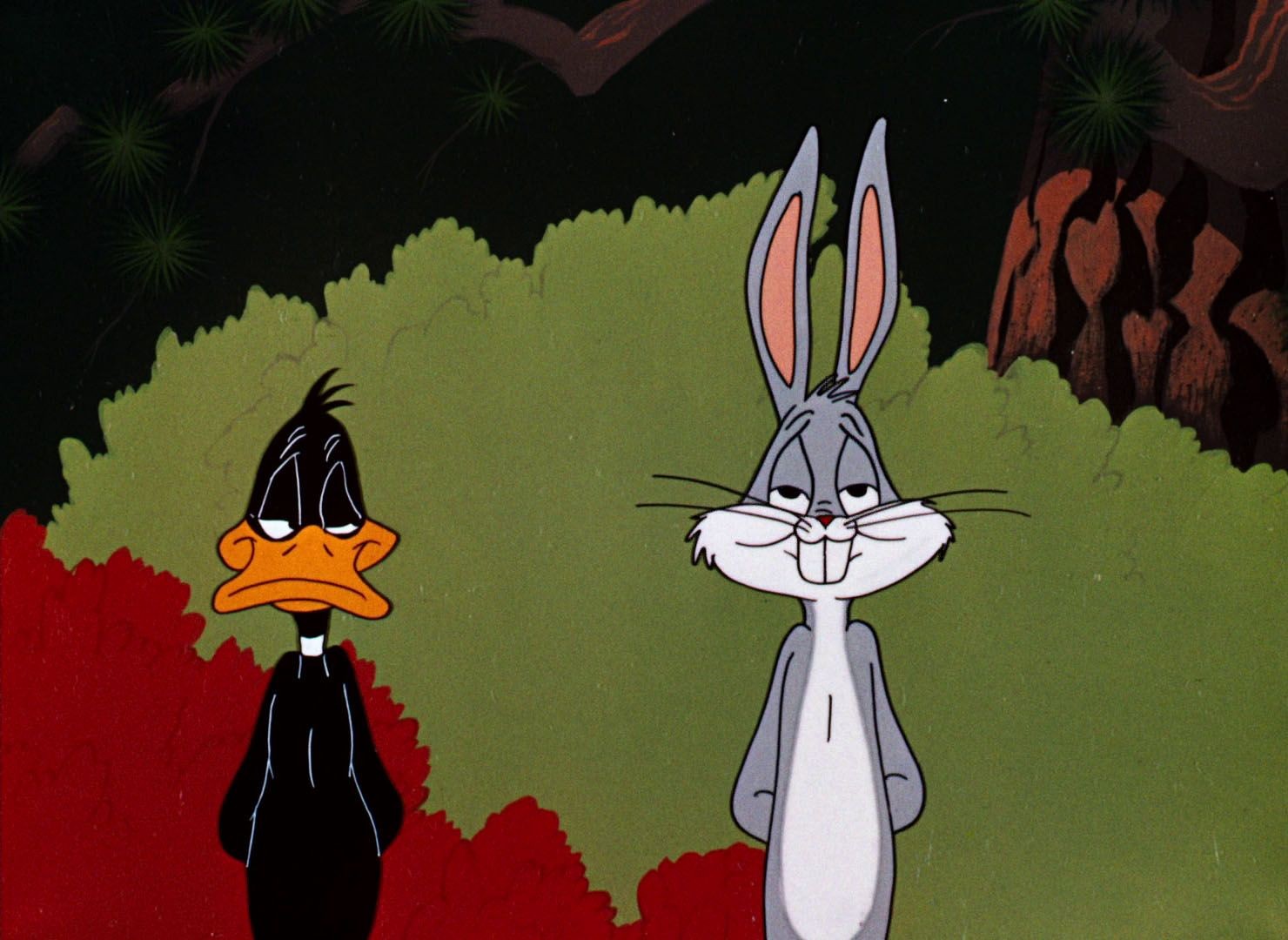 Bugs Bunny & Daffy Duck