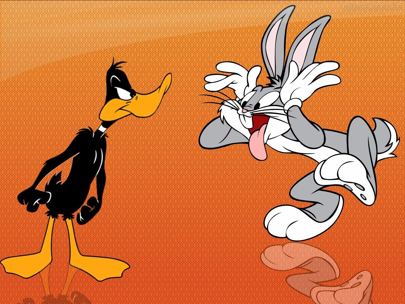Over Bugs & Daffy